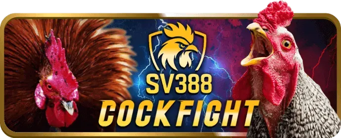 Tổng kết sự kiện thể thao bong69